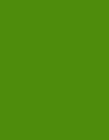 XL4PW4D5T (4)